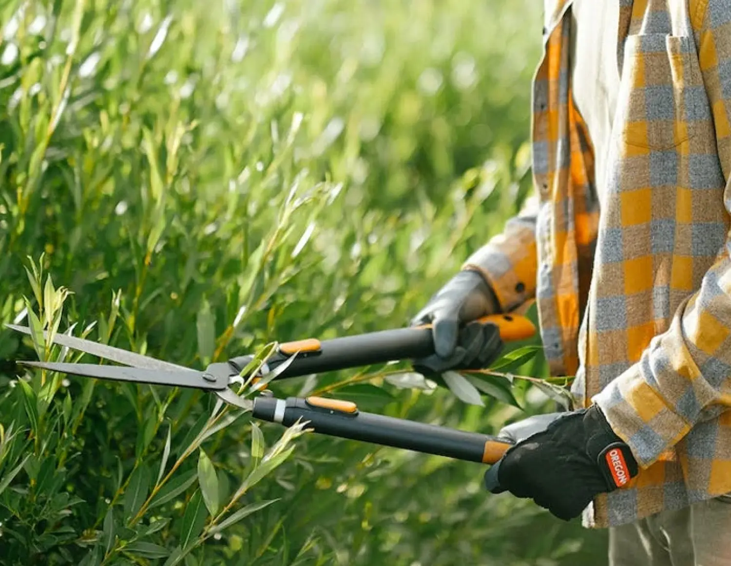 фото теплиці компанії Зелендар